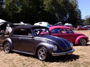 Beetle Show Rioz (13)